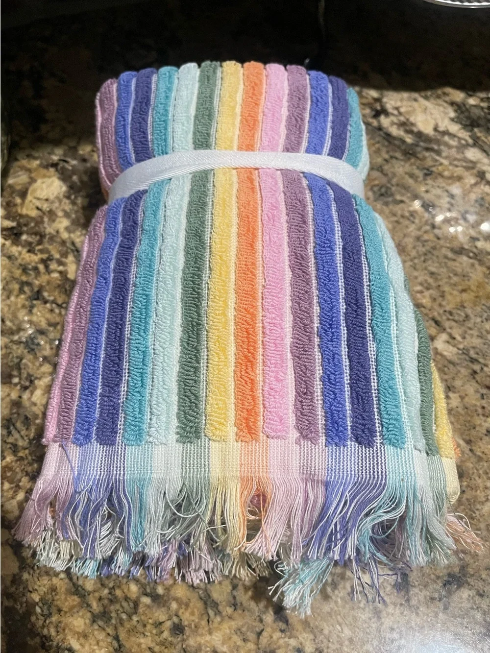 Rachel Zoe striped fringed 100% Cotton Hand Towel set of (2) 18”x28”” -Brand new